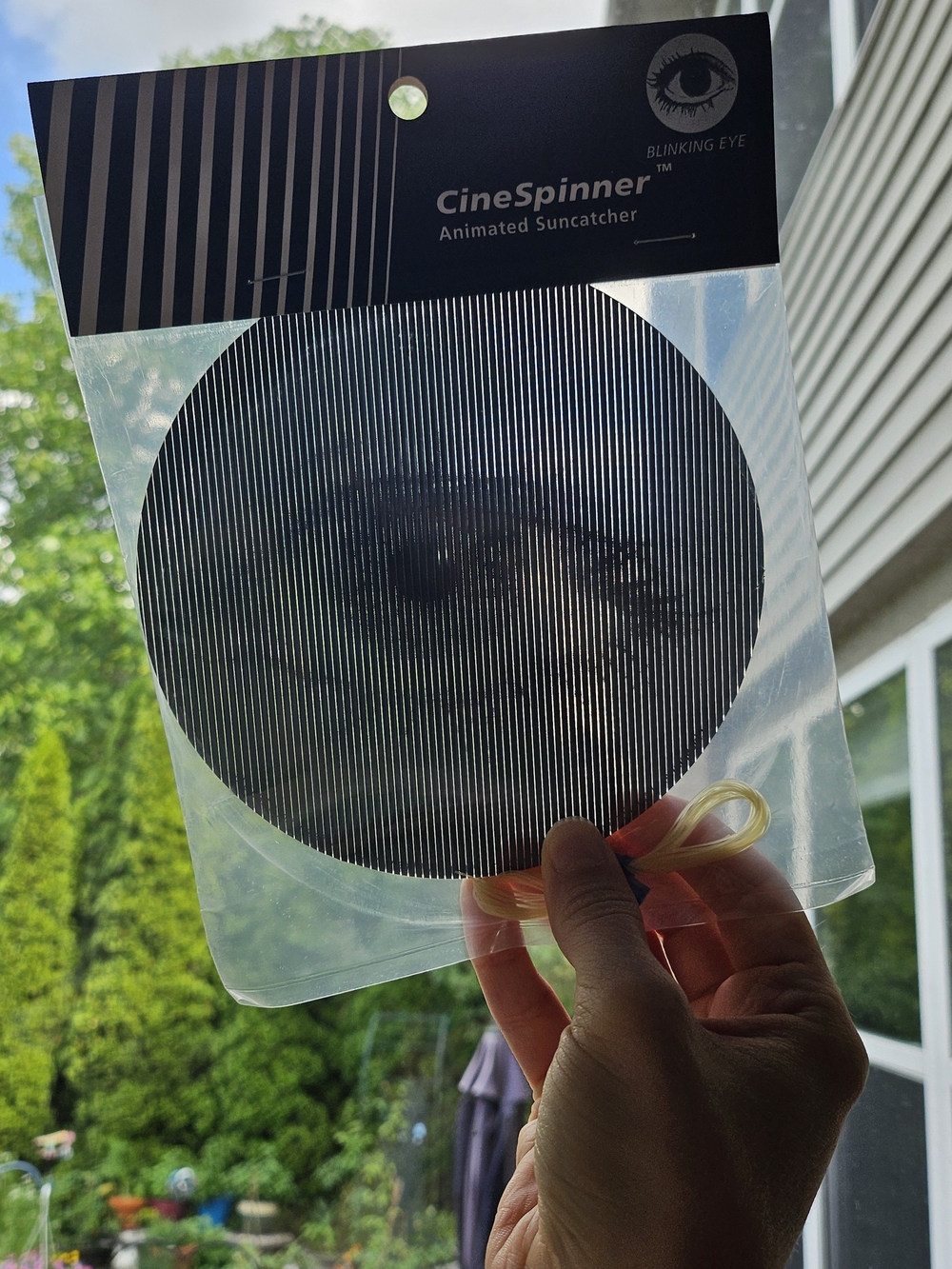 Animated Suncatcher
